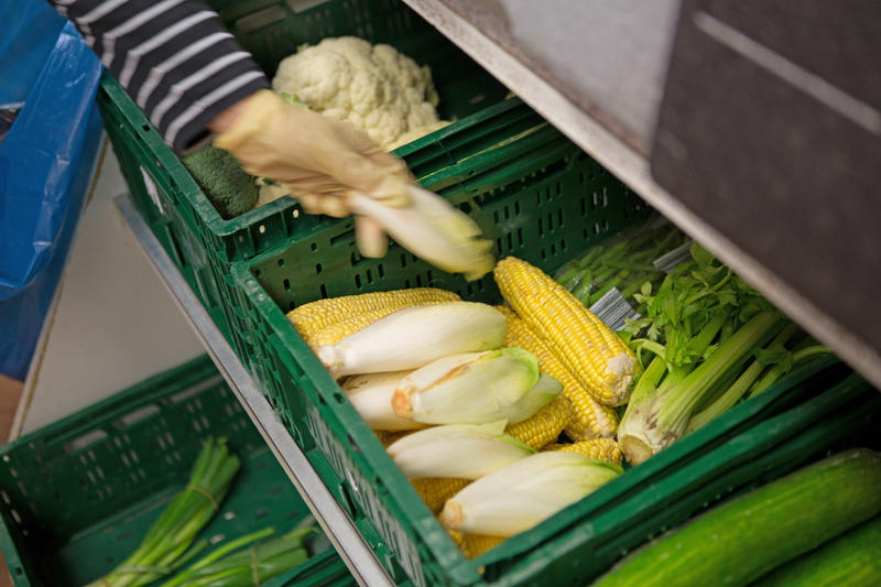 s:48:"Ehrenamtlerin einer Tafel sortiert Lebensmittel.";