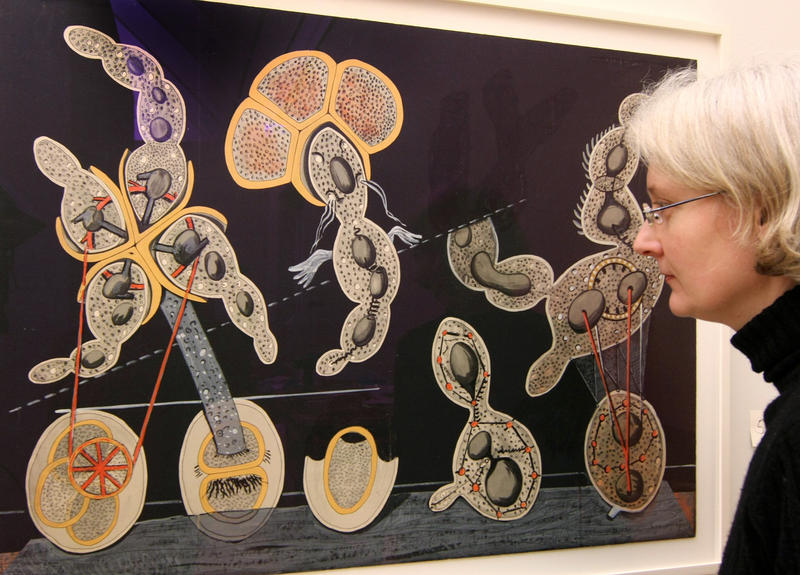 s:250:"Eine Besucherin betrachtet in der Schirn Kunsthalle in Frankfurt am Main das Bild "La Bicyclette Graminée garnie de Grelots les Grisons grivelés et les Échinodermes Courbands Échine pour queter des Caresses" (1921) von Max Ernst (Archivbild 2009)";