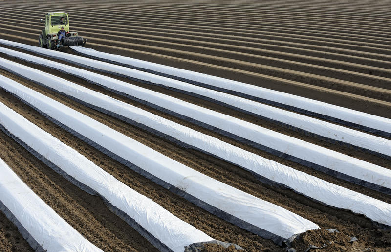 s:36:"Spargelfeld mit Traktor (Symbolbild)";