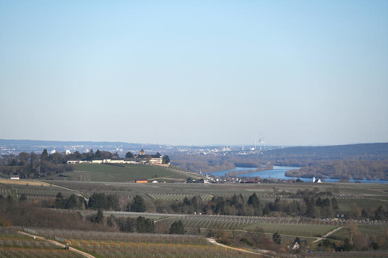 s:49:"Blick über den Rheingau und Schloss Johannisberg";