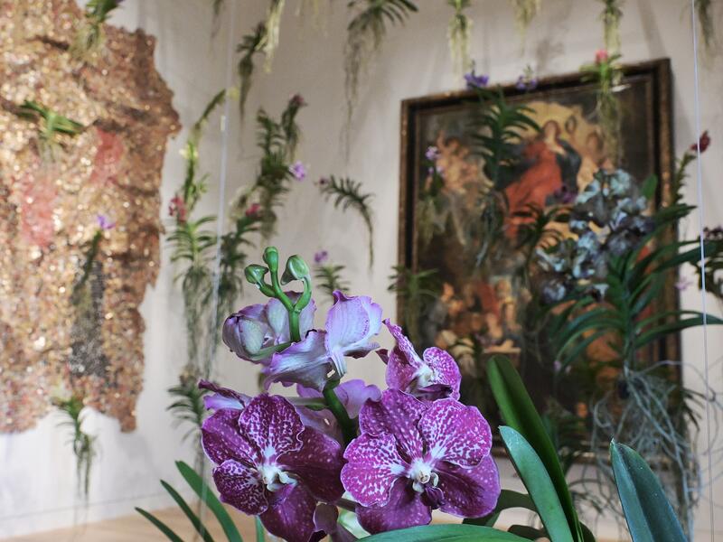 s:53:"Blumenkunst im Museum: "Palastblühen" im Kunstpalast";