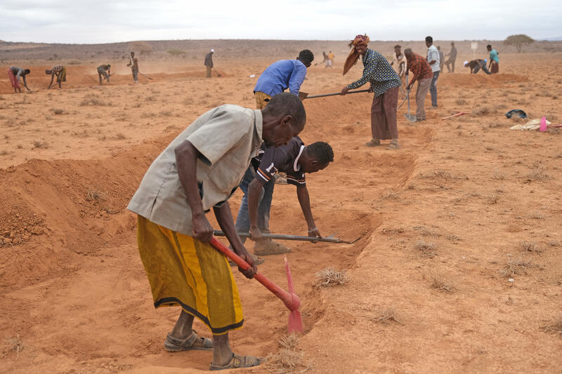 s:66:"Klimakrise in Somaliland: Die Dürre schwächt Menschen und Tiere.";