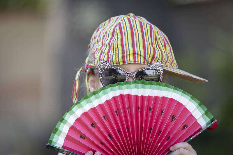 s:27:"Themenfoto Sommer und Hitze";