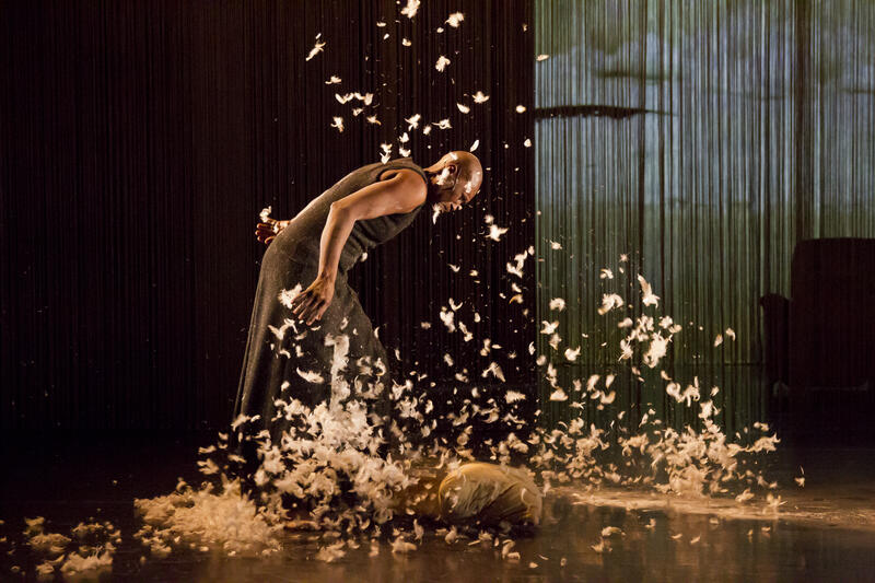 s:15:"Germaine Acogny";