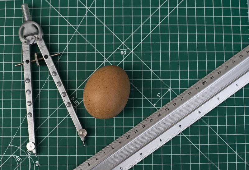 s:64:"Das Ei stellt die Mathematik immer noch vor Rätsel (Archivbild)";