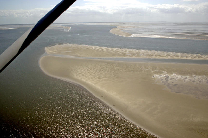 s:20:"Robben im Wattenmeer";