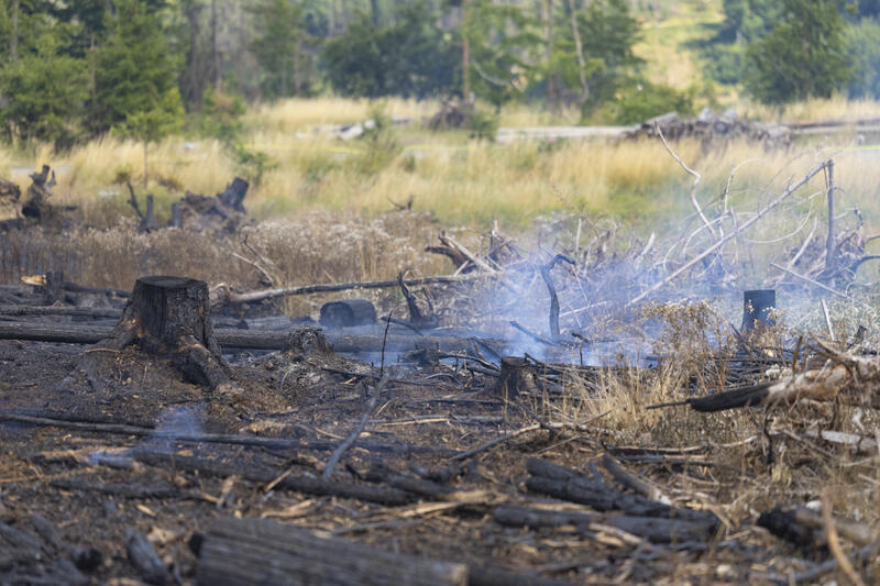 s:86:"Zum Schutz der Wälder ist Rauchen, Grillen und offenes Feuer im Wald streng verboten.";