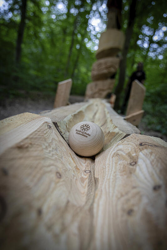 s:61:"Die Waldkugelbahn in Hahnstätten bringt Bewegung in den Wald";