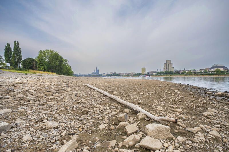 s:31:"Niedrigwasser am Rhein in Köln";