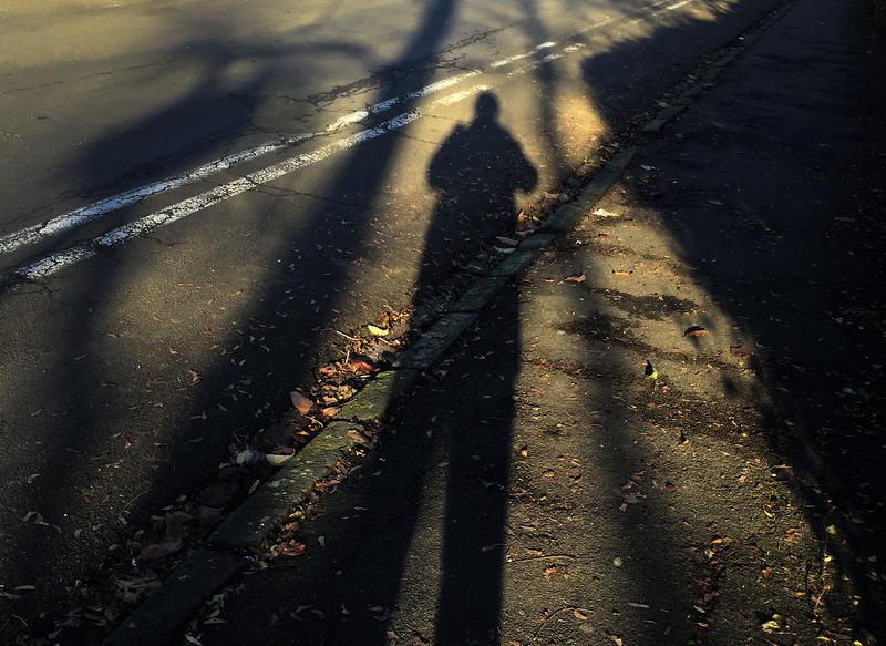s:47:"Langer Schatten eines Mannes in der Abendsonne.";