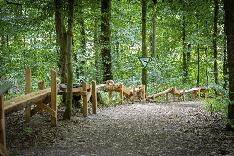 s:60:"Deutsche Waldtage: Bewusstsein für ein komplexes Ökosystem";