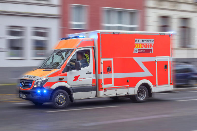 s:57:"Der heiße Sommer hat für Tausende Sterbefälle gesorgt.";