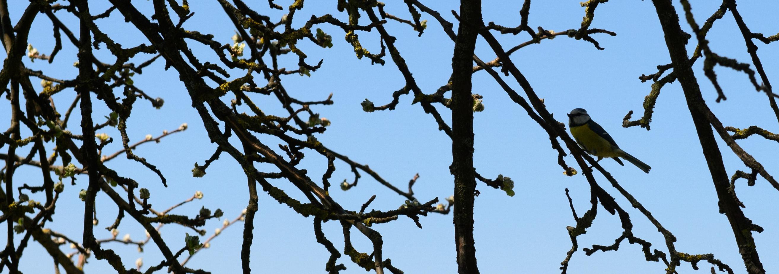 epd Bayern - Frühling in Franken